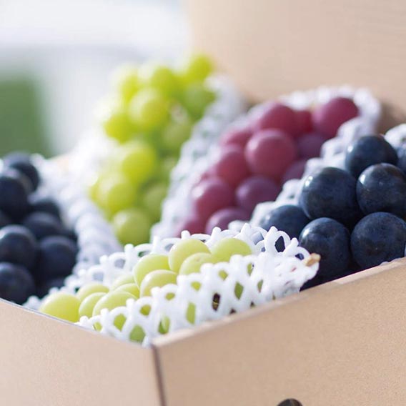 ぶどう詰め合わせ